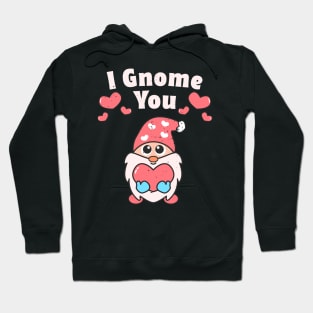 I Gnome You Valentines Day Gnome Lovers Cute Gnome Pun Hoodie